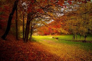一足早めに秋先取り。秋をすべて満喫できるおすすめ秋の行楽プランをご紹介。