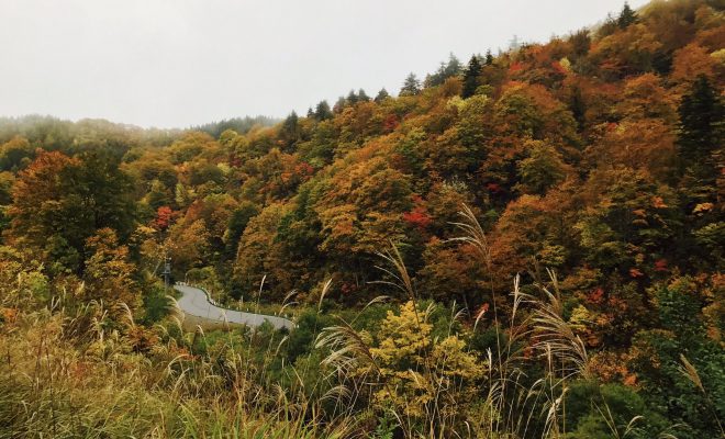 １度は行くべき 福島県昭和村のオススメ紅葉スポット５選