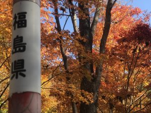 秋のドライブに最適！福島県舟鼻峠の紅葉はいつがピーク？