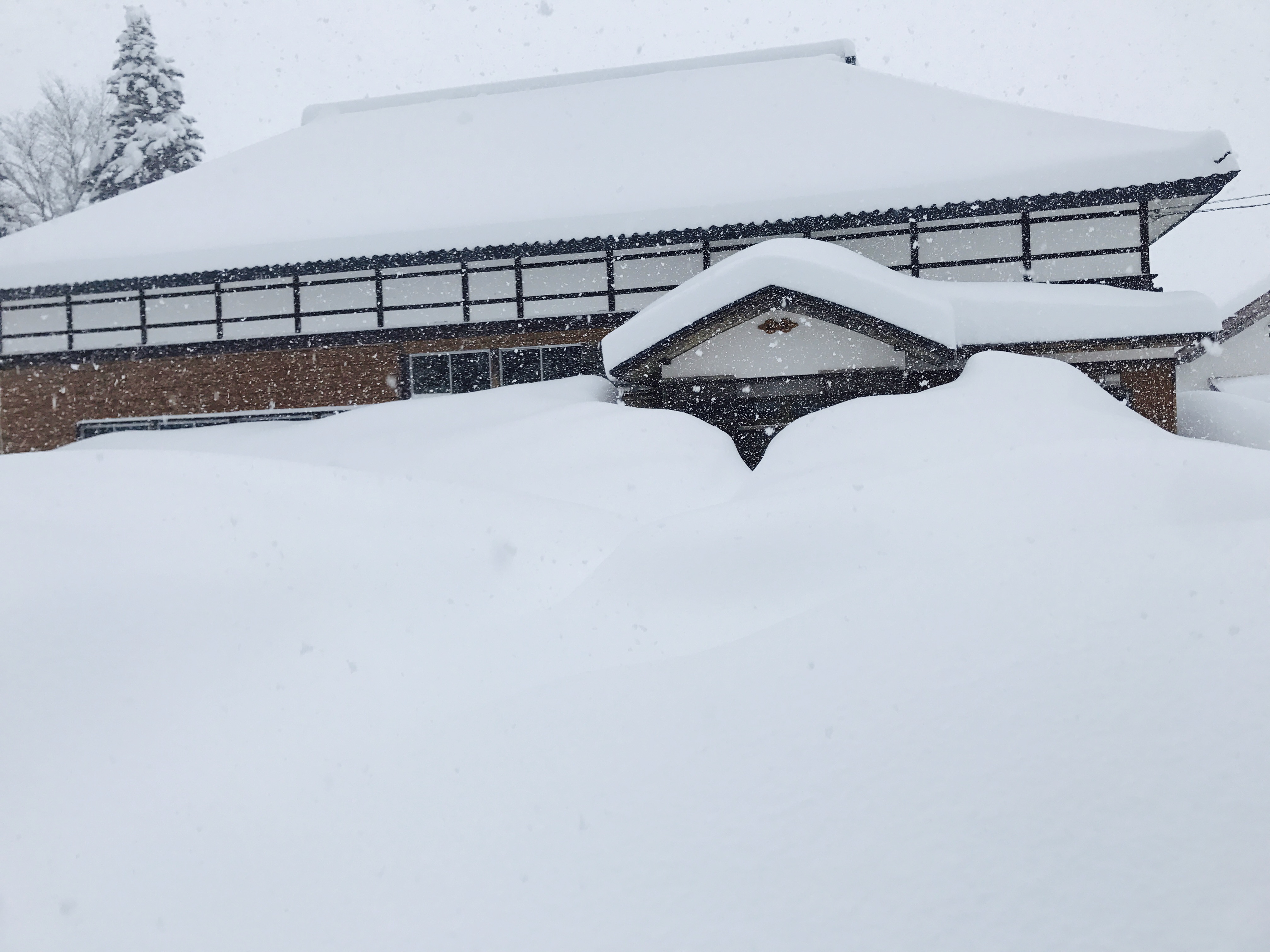 シェアベースの古民家の雪