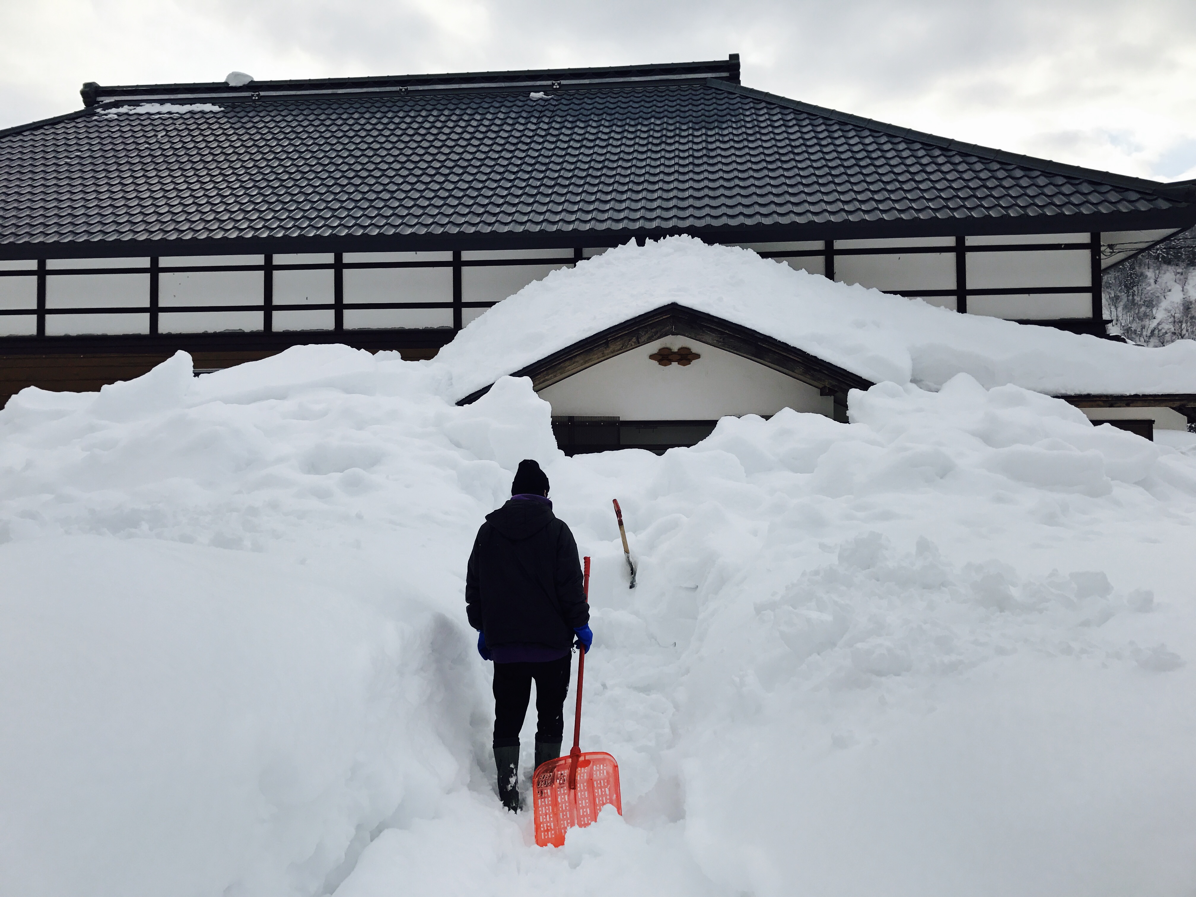 昭和村の雪