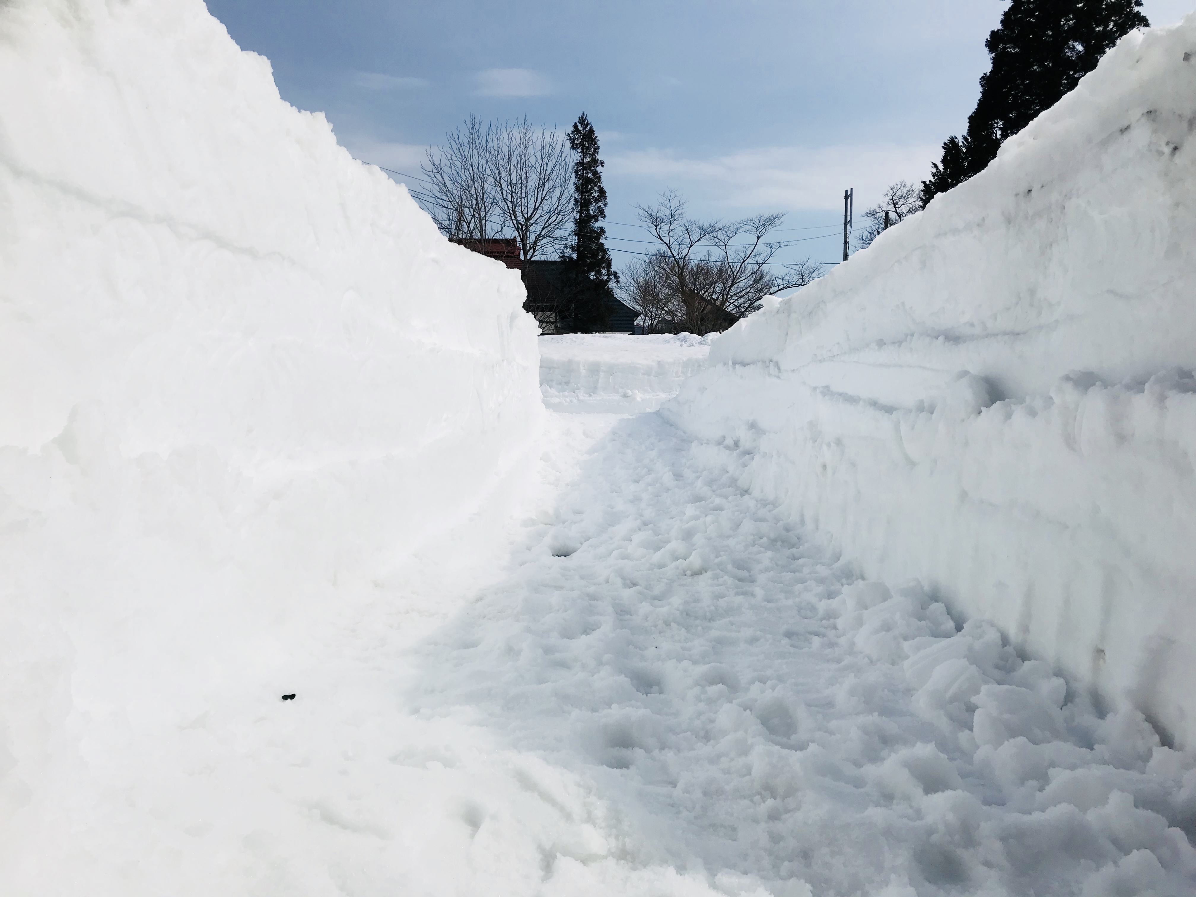 除雪した田舎の民家