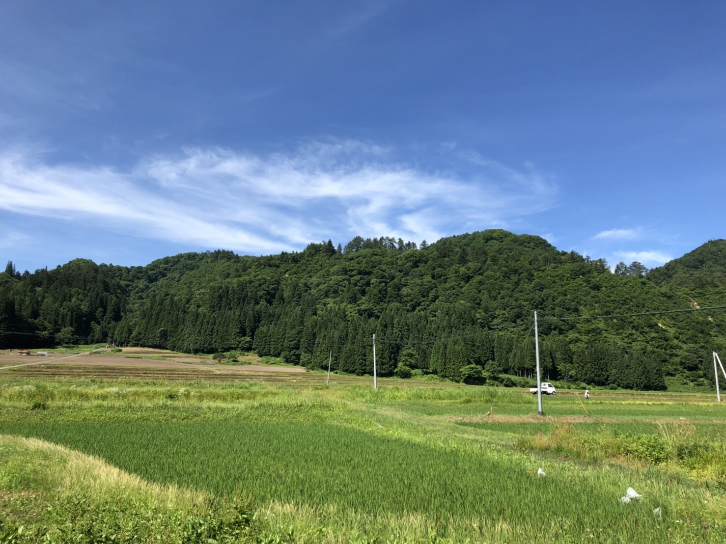 昭和村の風景
