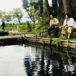 美しいじゃがいもの花 摘むのが正解 摘まないのが正解