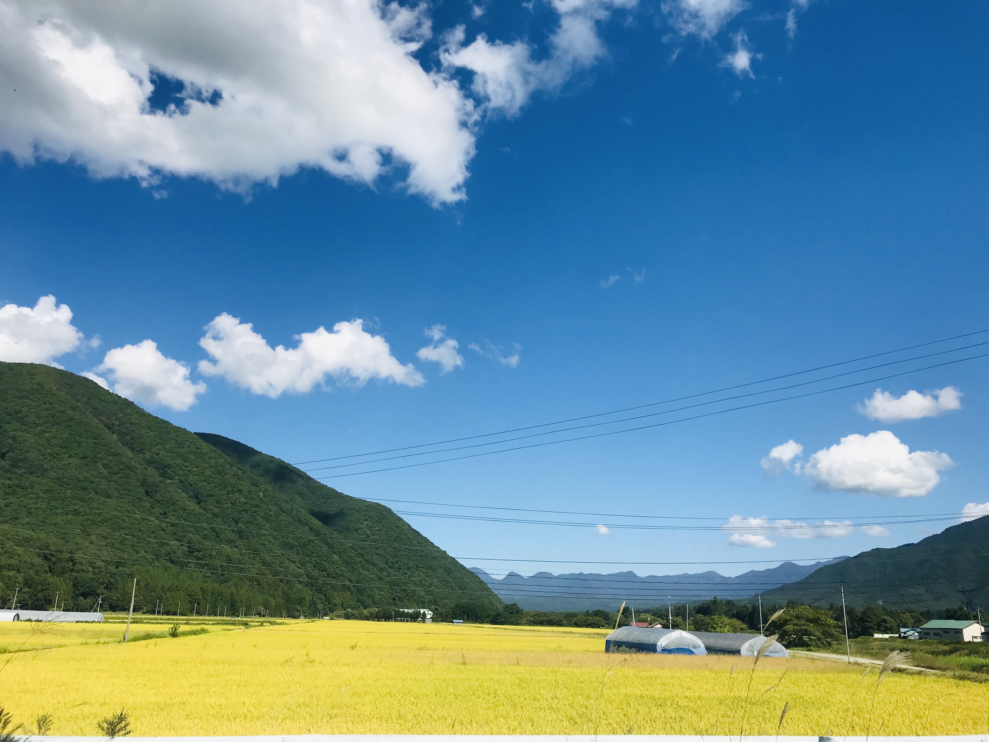 福島県の紅葉