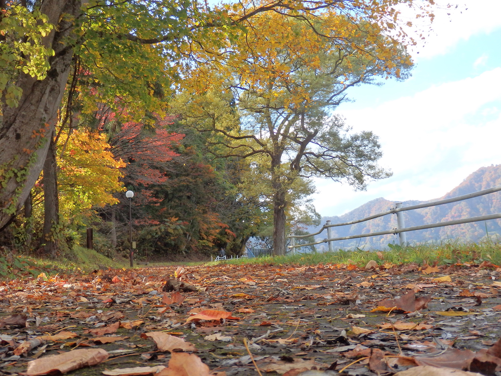 沼沢湖の紅葉