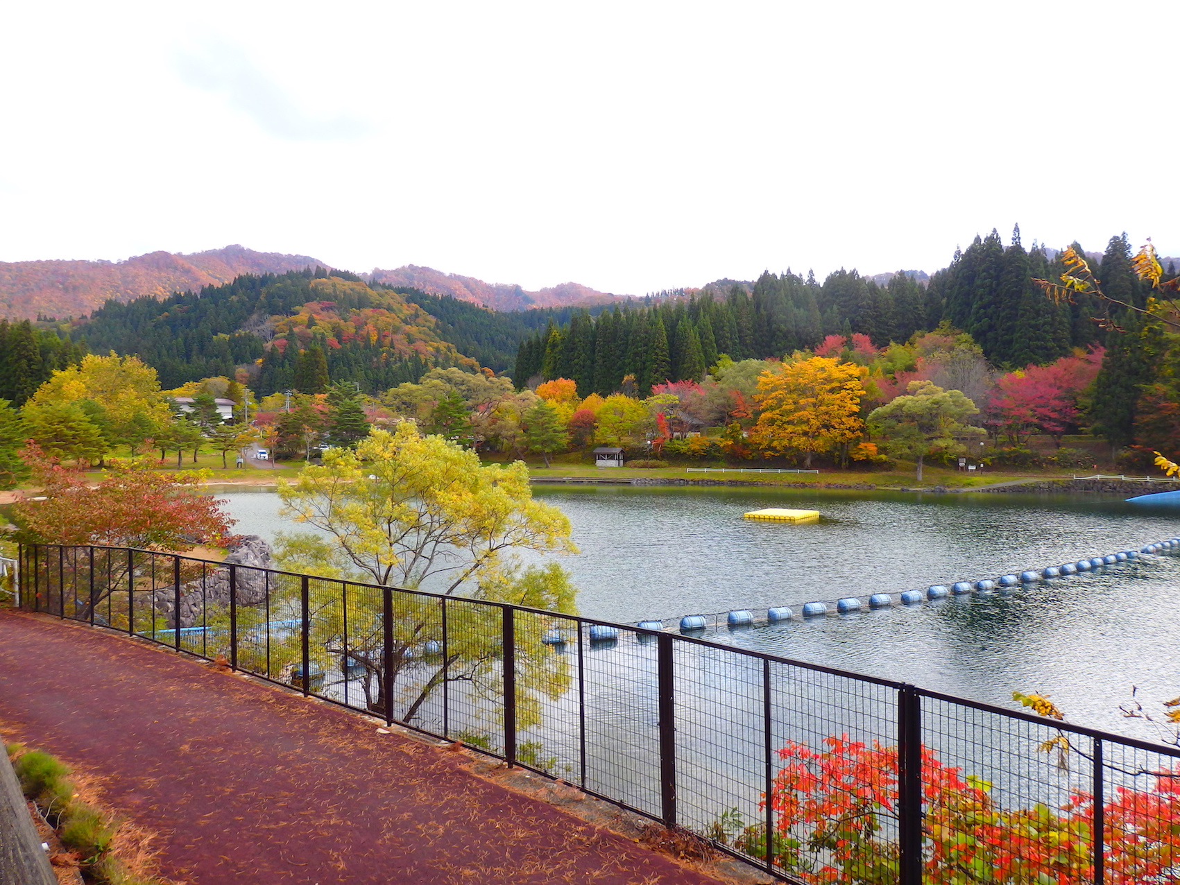 奥会津　沼沢湖の紅葉