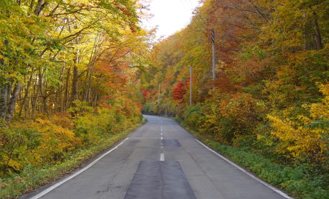 福島県の紅葉ドライブなら奥会津昭和村に向かえば間違いない 峠道は確かな紅葉スポット