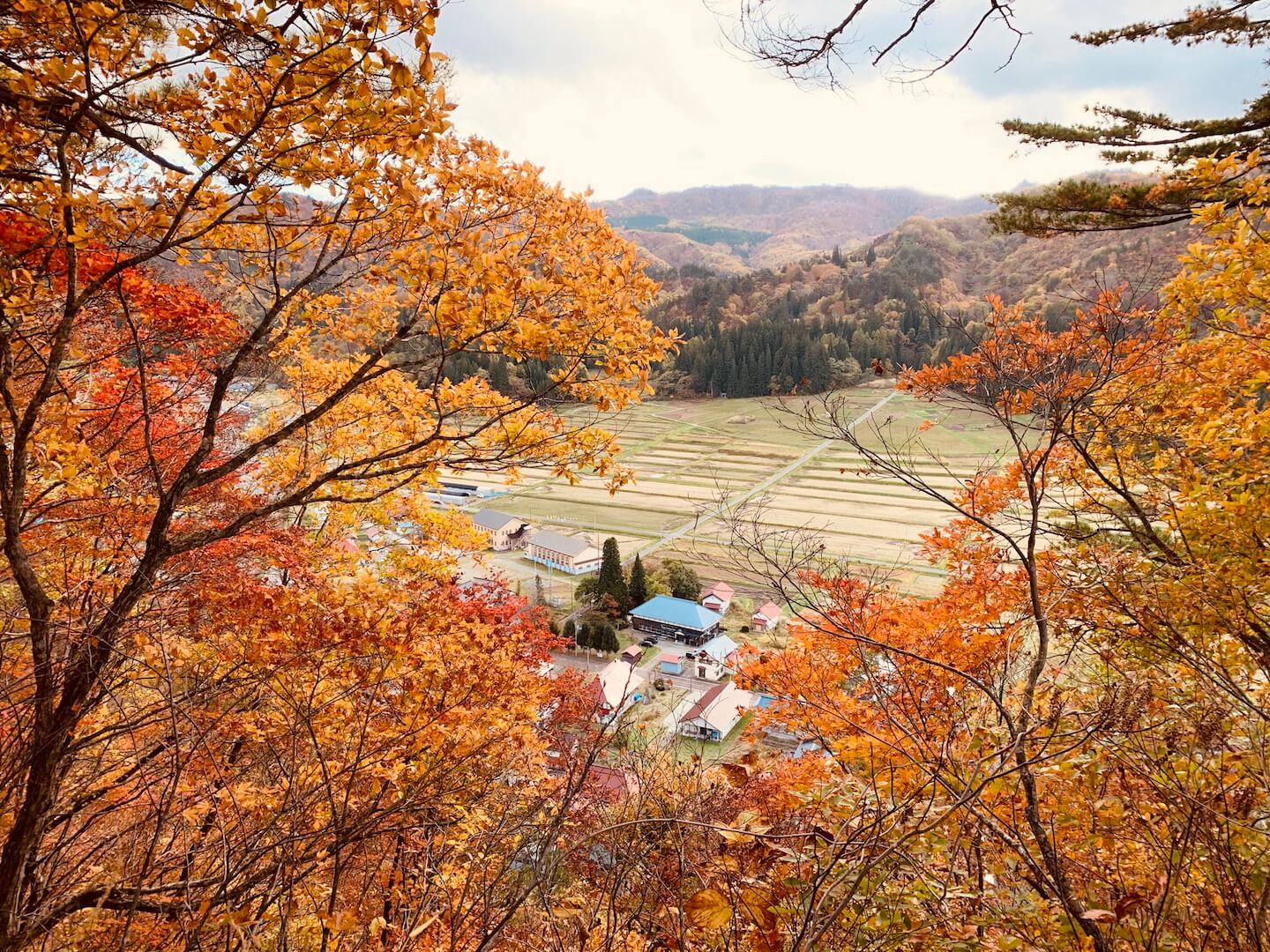 田舎の山歩き