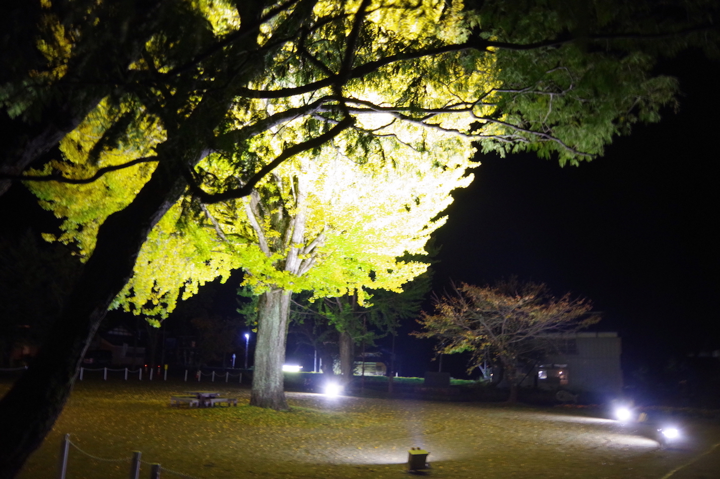 東北　紅葉スポット