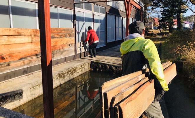 昭和村の雪はいつ積もる 備えあれば憂いなし 雪囲い作業完了