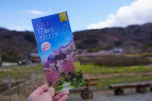 福島のお花見スポット「花見山」。美しい花が咲き乱れるその絶景はまさに桃源郷!!