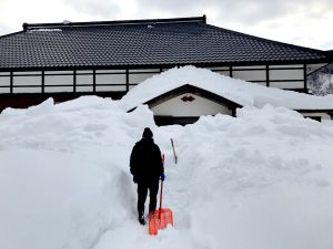 雪がこんなに少ないのは100年ぶり?!  SHARE BASE 昭和村で積雪量を比較してみた。