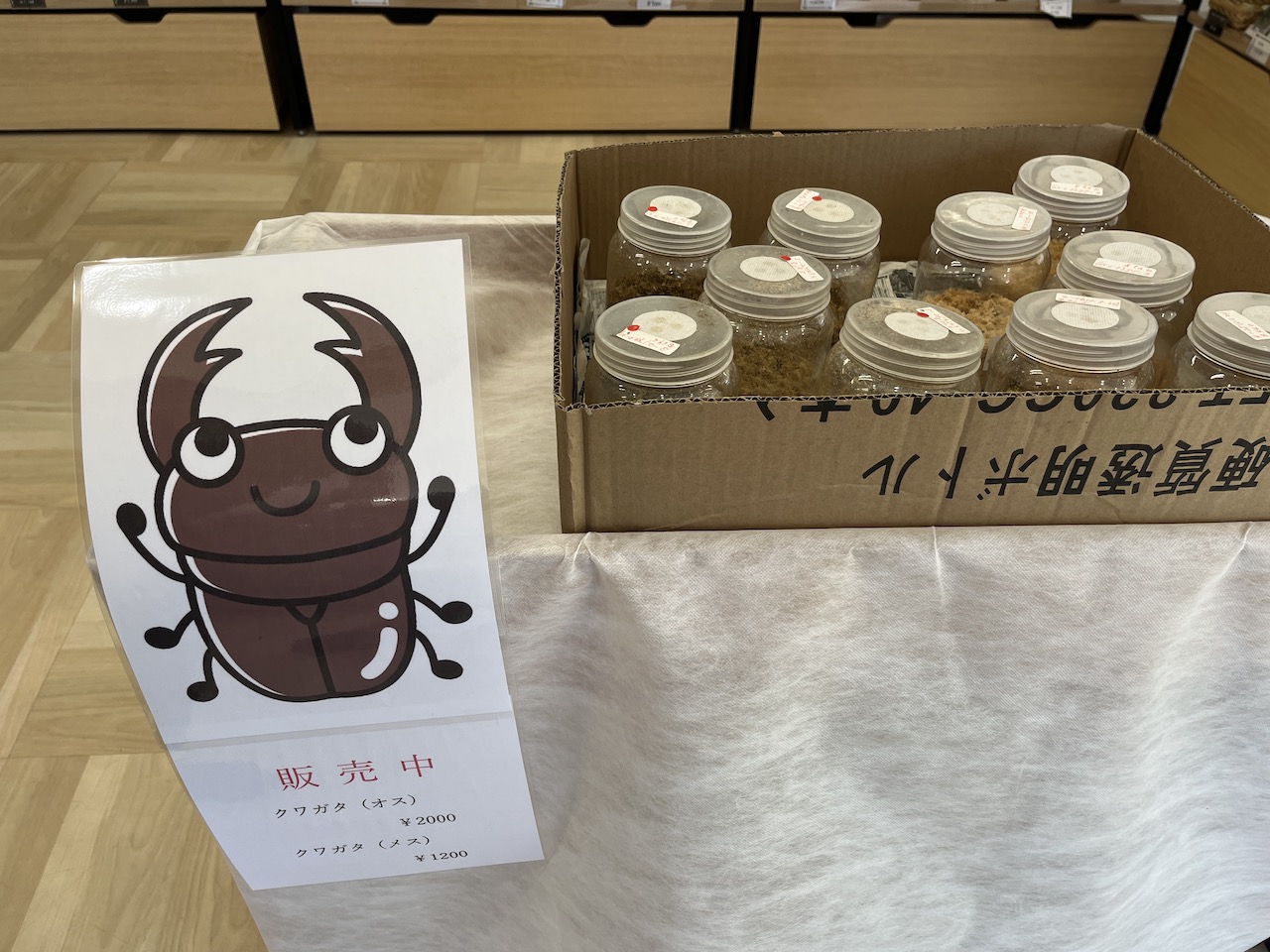 奥会津のクワガタカブトムシ販売