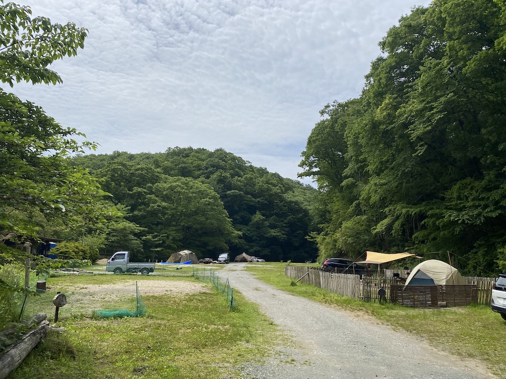 「夏のオススメは小さな小川が流れるエリア。