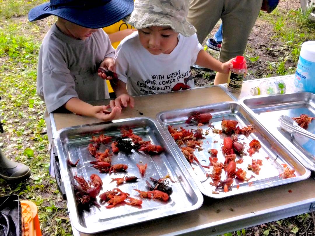 グルメ食材「ウチダザリガニ」を 釣って食べて駆除しよう！SDGsを学ぶ、ウチダザリガニ釣り体験！