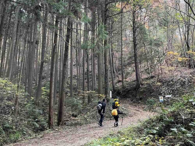 茨城県で登山初心者でも安心の低山ハイク！ 城里町にある鶏足山の見どころは？