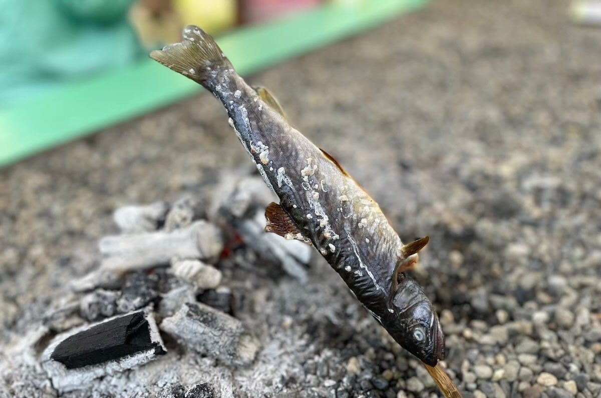 いわなを釣ってその場で食べられる！ 子供達も大喜びの釣りスポット「いわなの里」