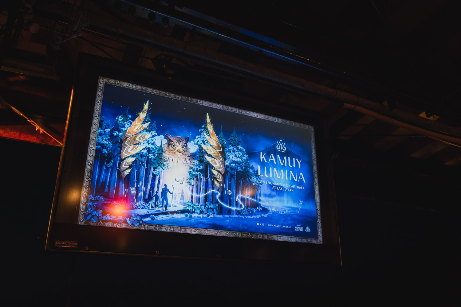 【DAY1 17:30】アイヌの文化と共に森を探索!幻想的な「カムイルミナ」を体験!