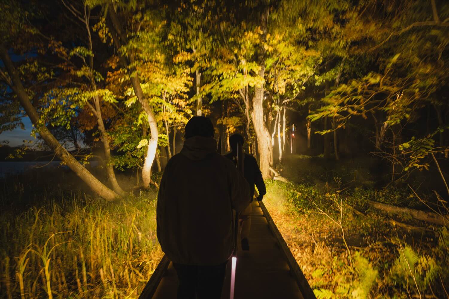 【DAY1 17:30】アイヌの文化と共に森を探索!幻想的な「カムイルミナ」を体験!