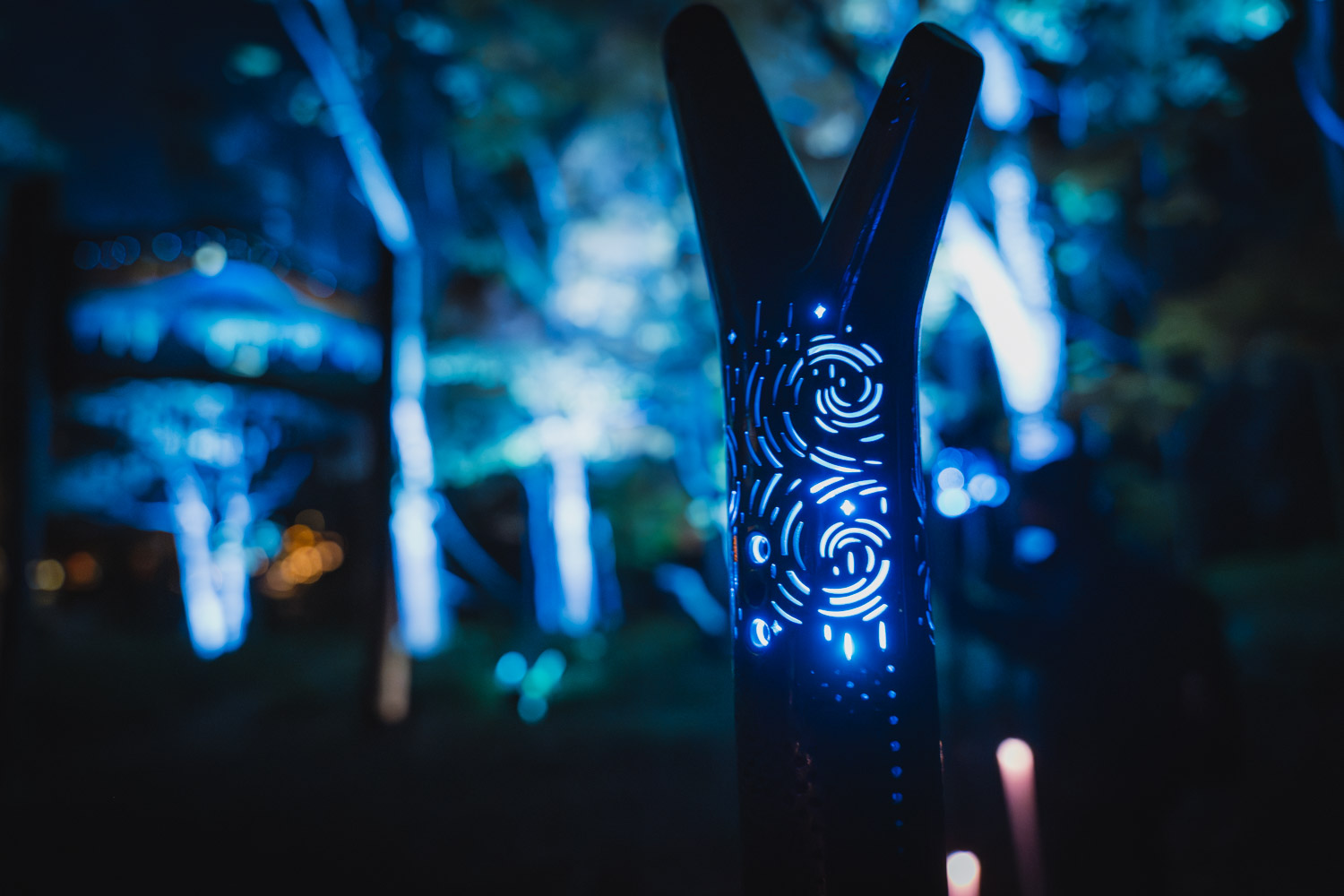 アイヌの文化と共に森を探索!幻想的な「カムイルミナ」を体験!