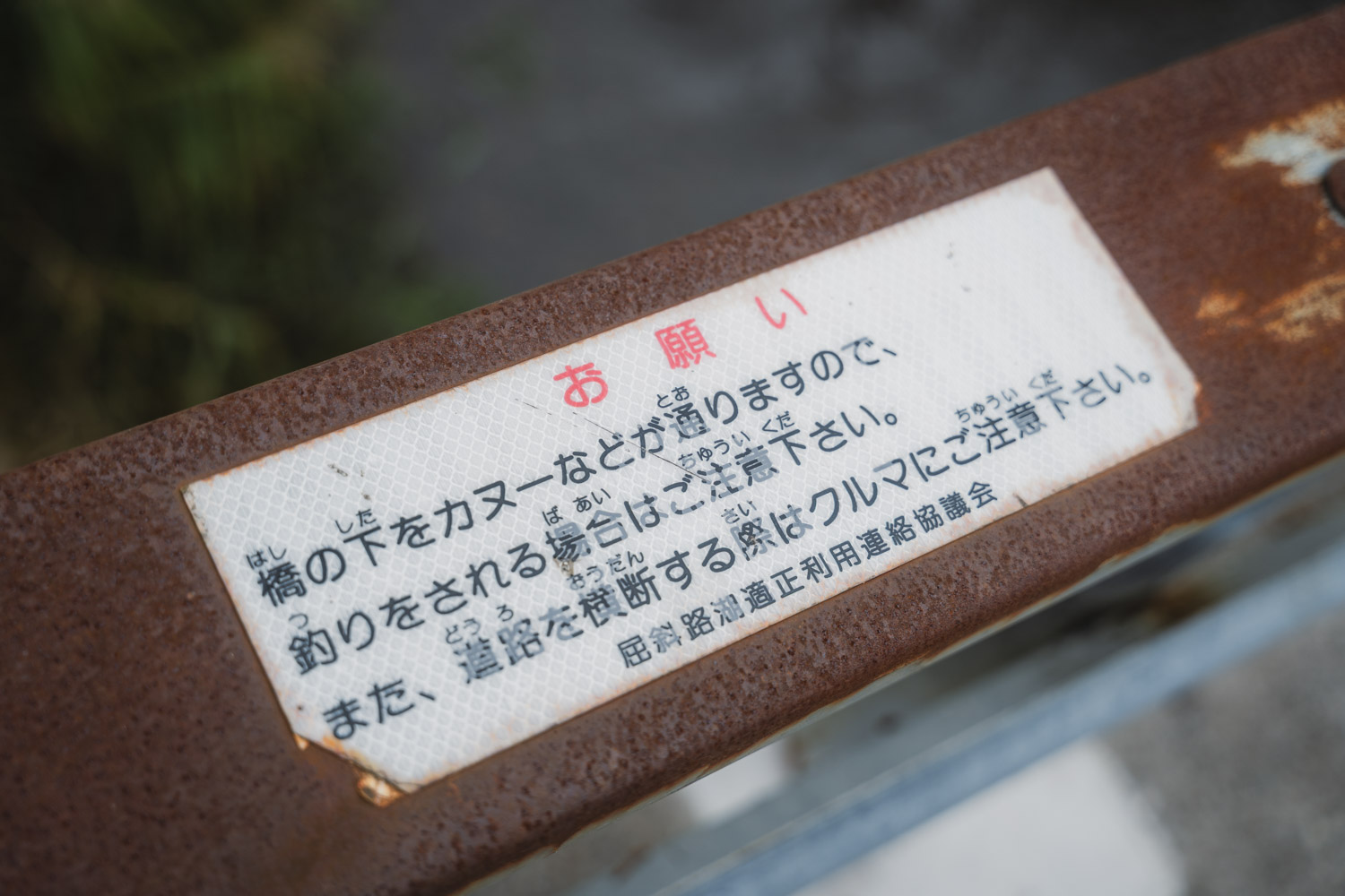 【DAY2 8:50】ツアー開始！手つかずの自然をカナディアンカヌーで進む感動体験へ<