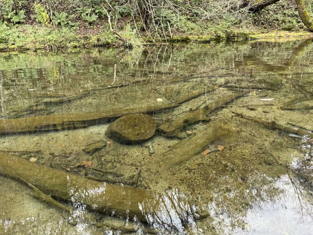 【DAY2 8:50】ツアー開始！手つかずの自然をカナディアンカヌーで進む感動体験へ