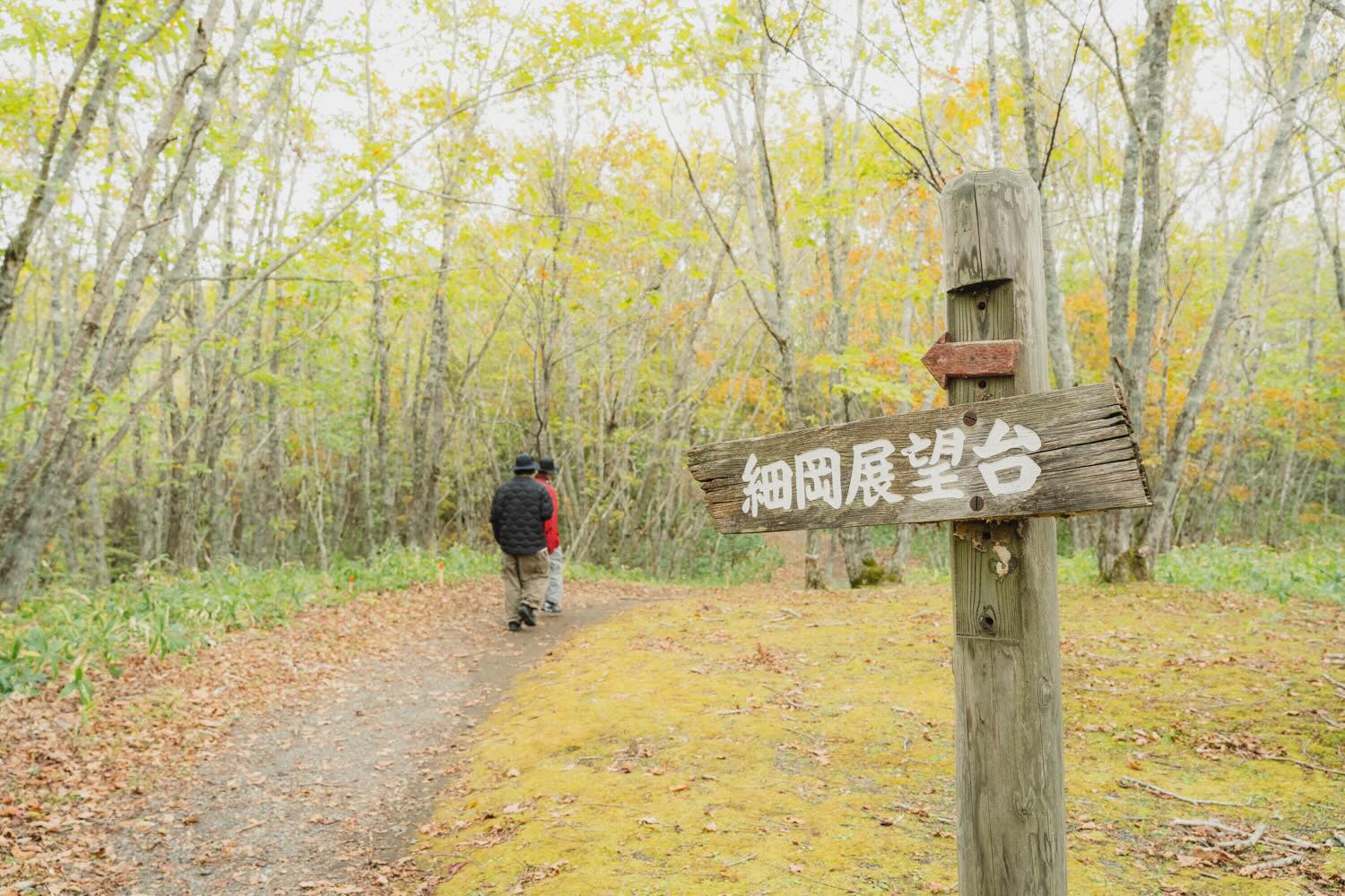 細岡展望台から見る雄大な釧路湿原の絶景