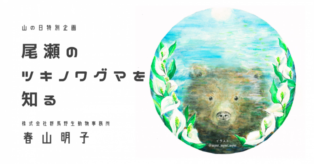 山の日特別企画『尾瀬のツキノワグマを知る』トークイベント